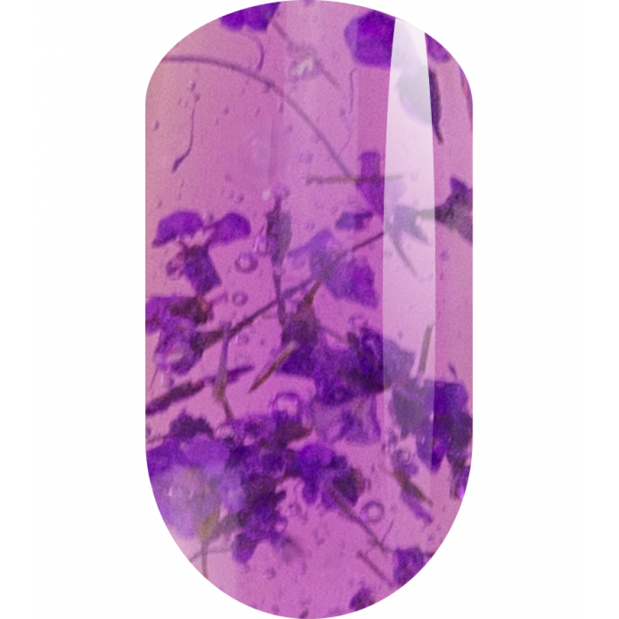 Ta2   Botanic Purple (5 )