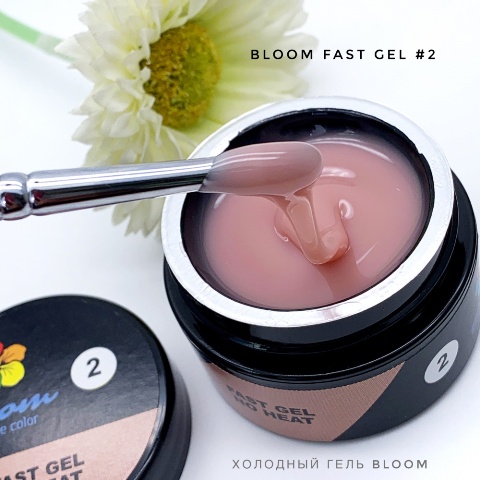Bloom       2 (30 )